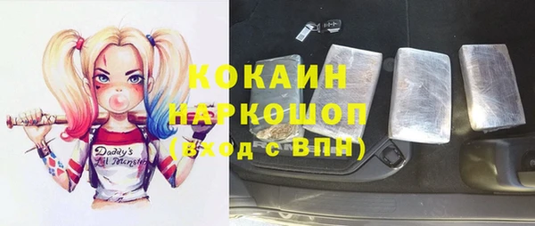 дживик Белокуриха