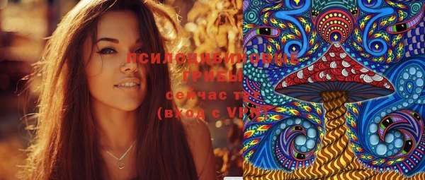 дживик Белокуриха