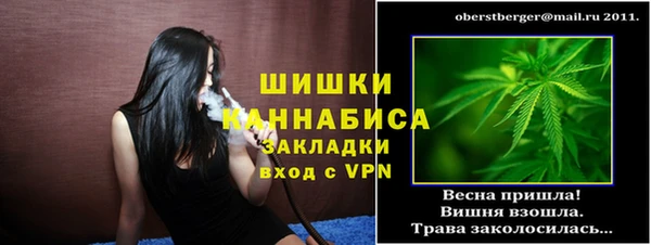 PSILOCYBIN Беломорск